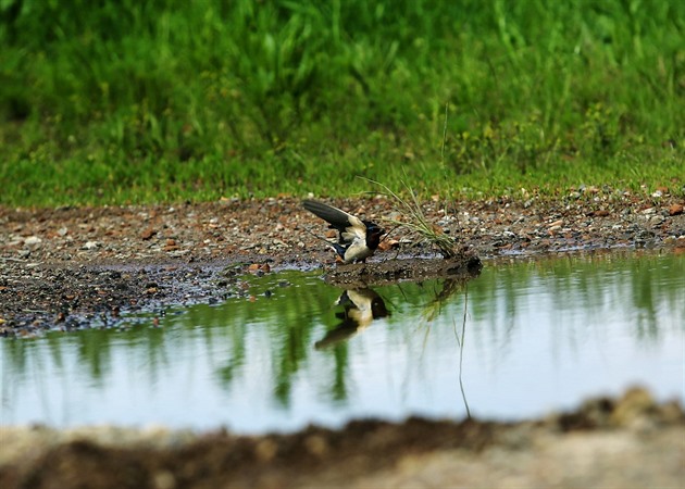 Vlnu odporu proti Soutoku dirigoval sponzor Motoristů, domnívají se ekologové
