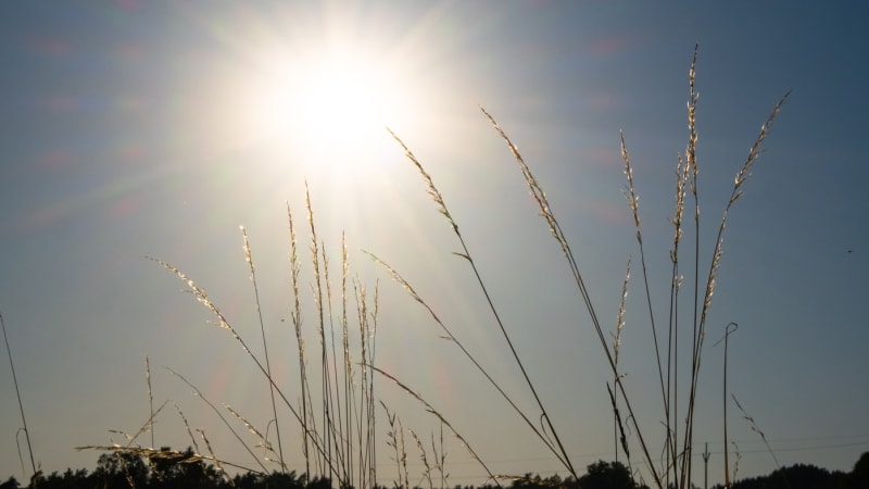RADAR: Do Česka míří jaro, sníh na horách taje. Podívejte se, kdy se znovu razantně ochladí