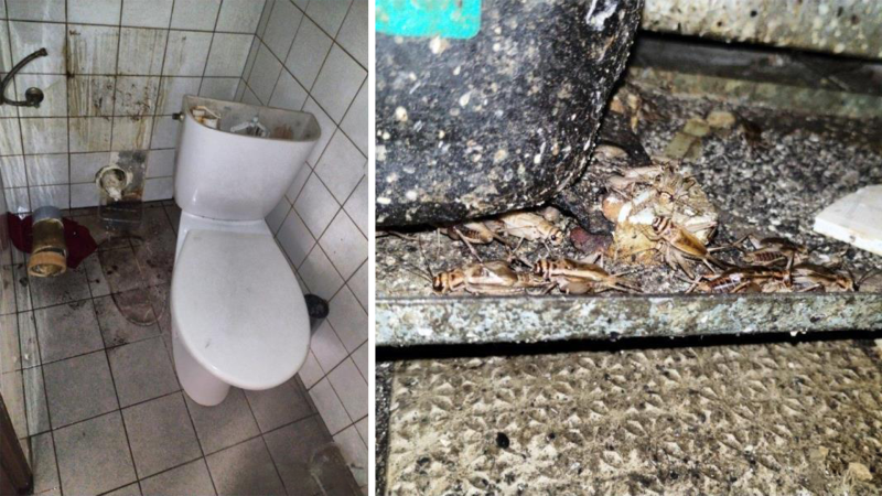 Plíseň v kuchyni, hmyz a špinavý záchod. Inspekce uzavřela restauraci v Mariánských Lázních
