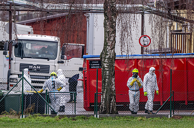 V Kosičkách končí likvidace chovu kvůli ptačí chřipce, další ohnisko je nedaleko