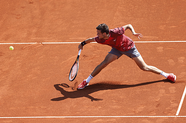 Kopřiva v Madridu jasně přehrál Číňana, uspěli i Macháč, Plíšková a Siniaková