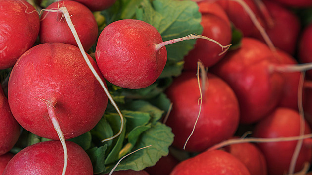 Poznáte zeleninu? Je štiplavější než chilli a rozhodně se nehodí pro tepelnou úpravu