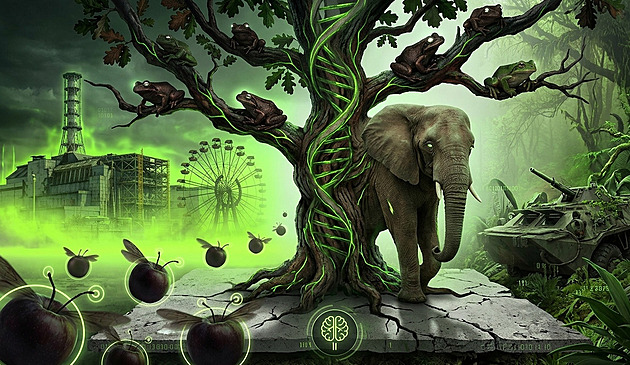 Žáby vzdorují radiaci, mandelinka jedům. Jak se zvířata učí přežít lidskou hloupost