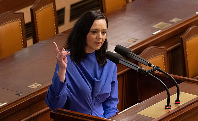 Urbanová je místopředsedkyní Sněmovny, poslanci vybrali i novou ombudsmanku