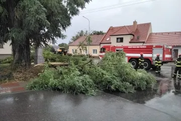 Na jihu Moravy zůstaly po bouřkách tisíce domácností bez proudu